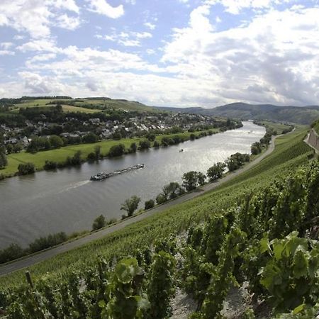 شقة Weingut Fehres برونبيبيرغ المظهر الخارجي الصورة